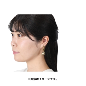 Pokémon accessory ピアス95 チャデス_ヤバソチャ
