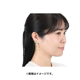Pokémon accessory ピアス95 チャデス_ヤバソチャ