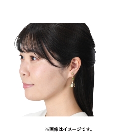 Pokémon accessory イヤリング87 チャデス_ヤバソチャ