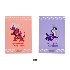A4クリアファイル 2枚セット TREASURED WAY HOME