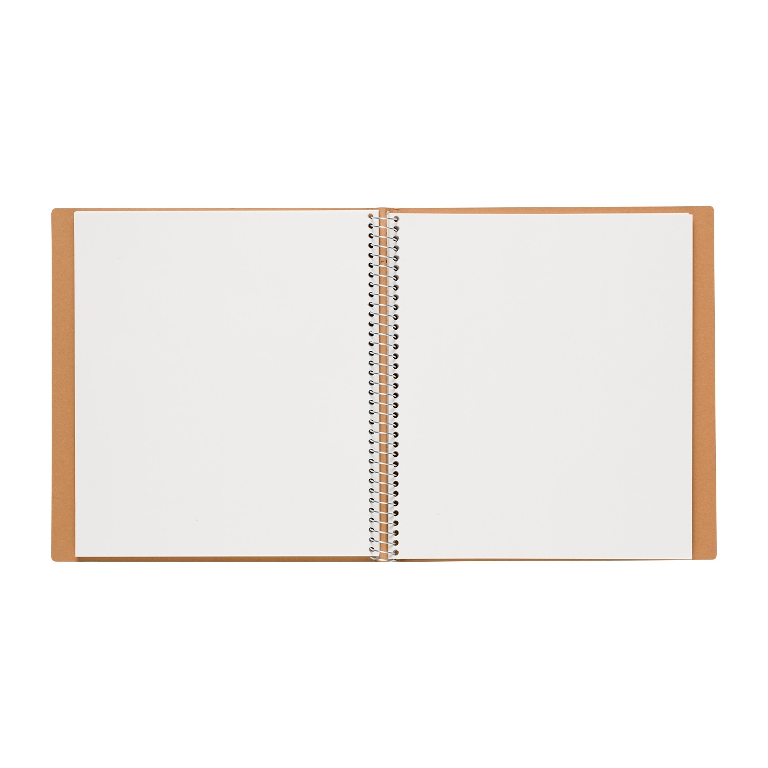 クロッキーブック TREASURED WAY HOME ミライドン