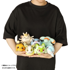 洗えるぬいぐるみ ゴマゾウ ｜【公式】ポケモンセンターオンライン