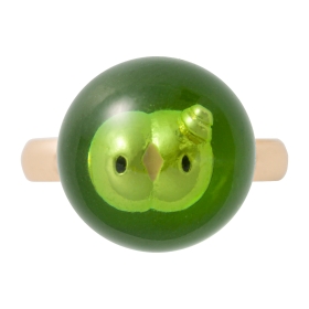 Pokémon accessory リング48 ユニラン