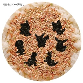 ポケモンわかるかな!?ふりかけ さけ味 SV