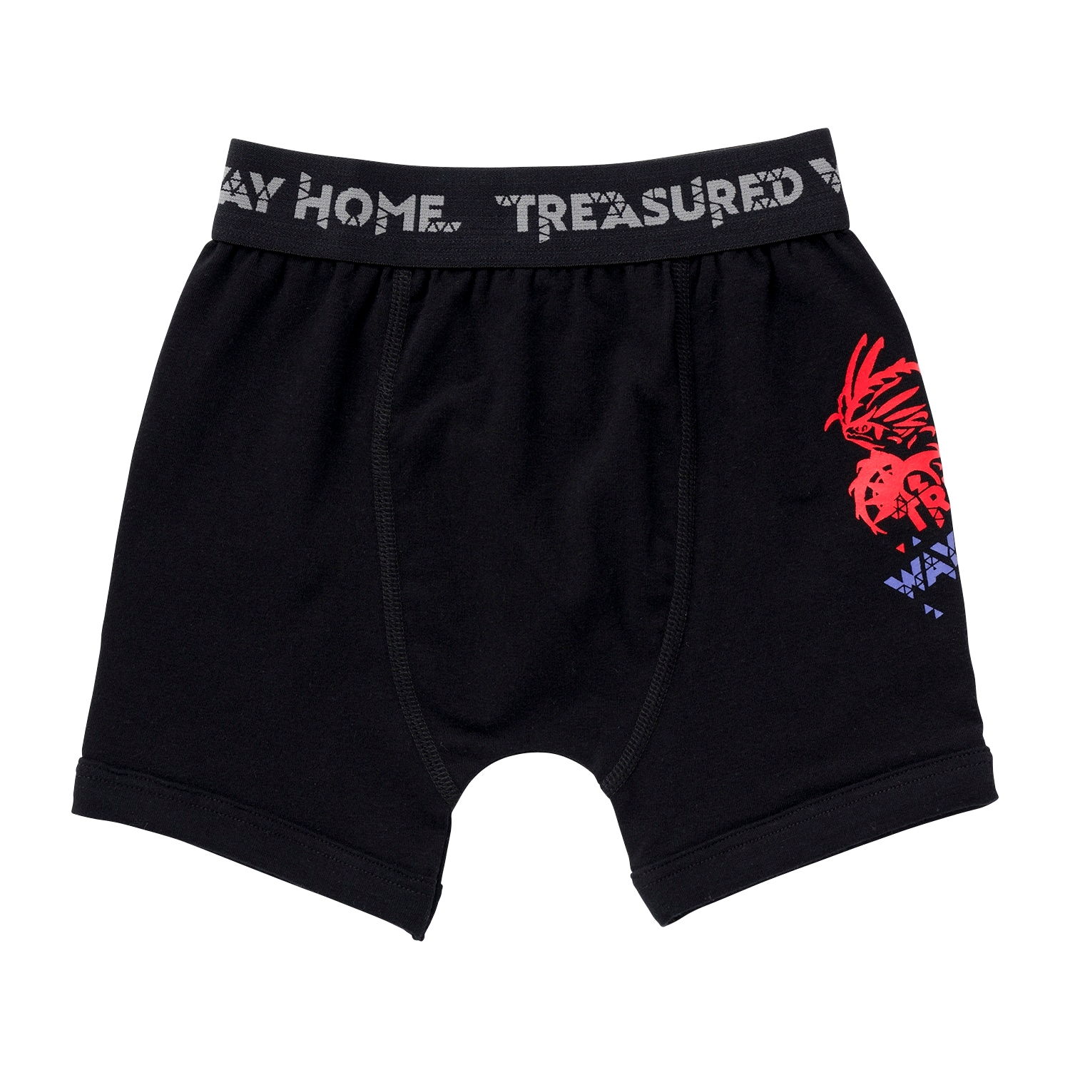 ボクサーパンツ TREASURED WAY HOME 110/130