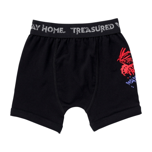 ボクサーパンツ TREASURED WAY HOME 110/130