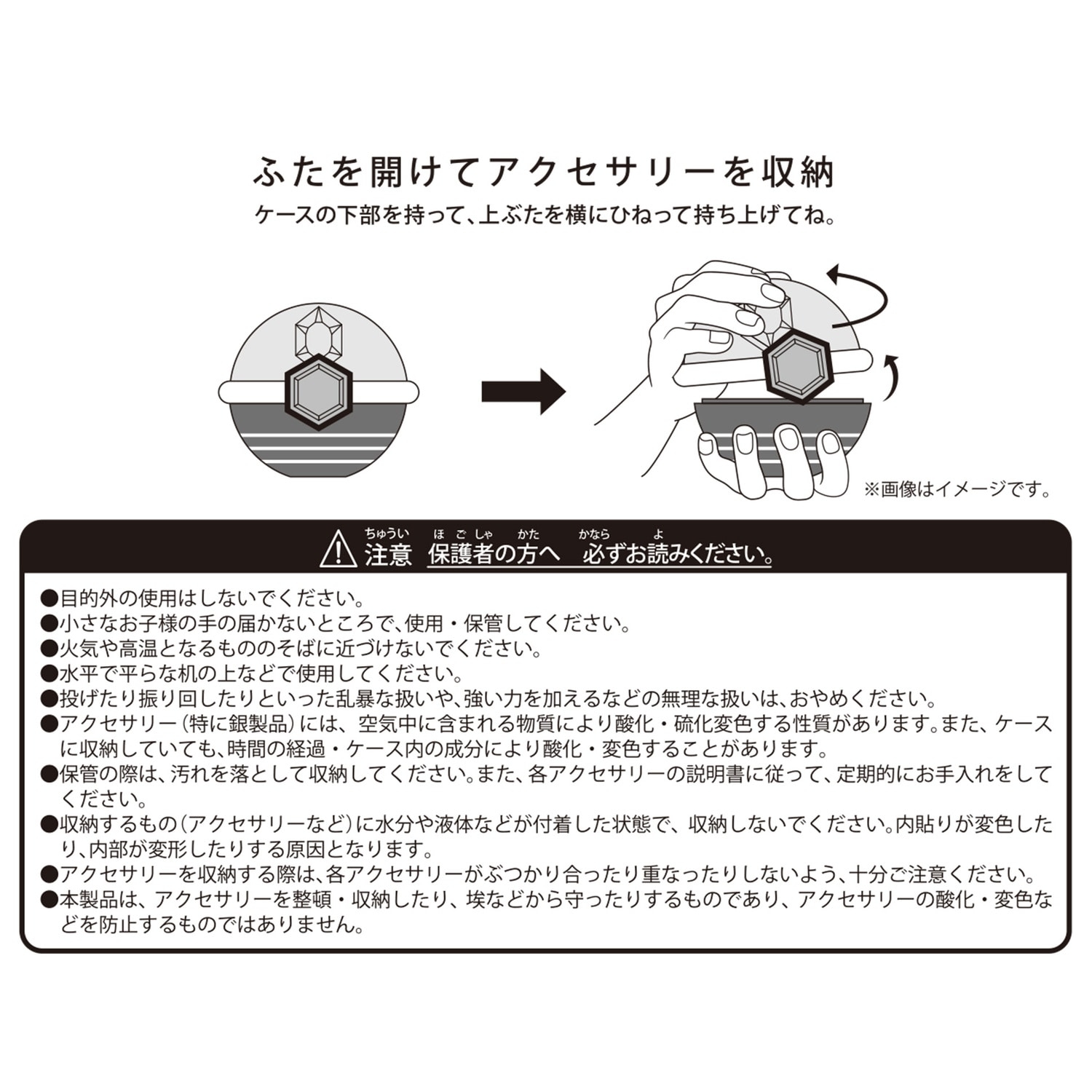Pokémon accessory アクセサリーケース テラスタルオーブ