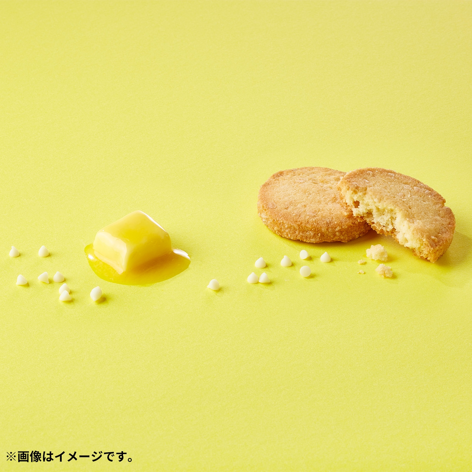 エンボス缶入りカカオサブレアソート Cuwawa's Flower Gifts ｜【公式