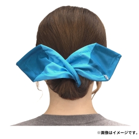 Pokémon accessory デフトバン80 グレイシア
