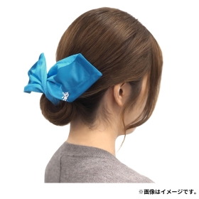 Pokémon accessory デフトバン80 グレイシア