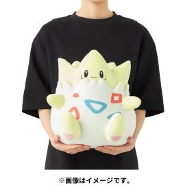 もっちりっちぬいぐるみ トゲピー