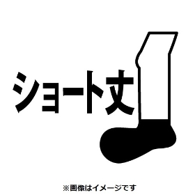【選べる】ショートソックス ライン入り EF (23-25cm)/ (25-27cm)