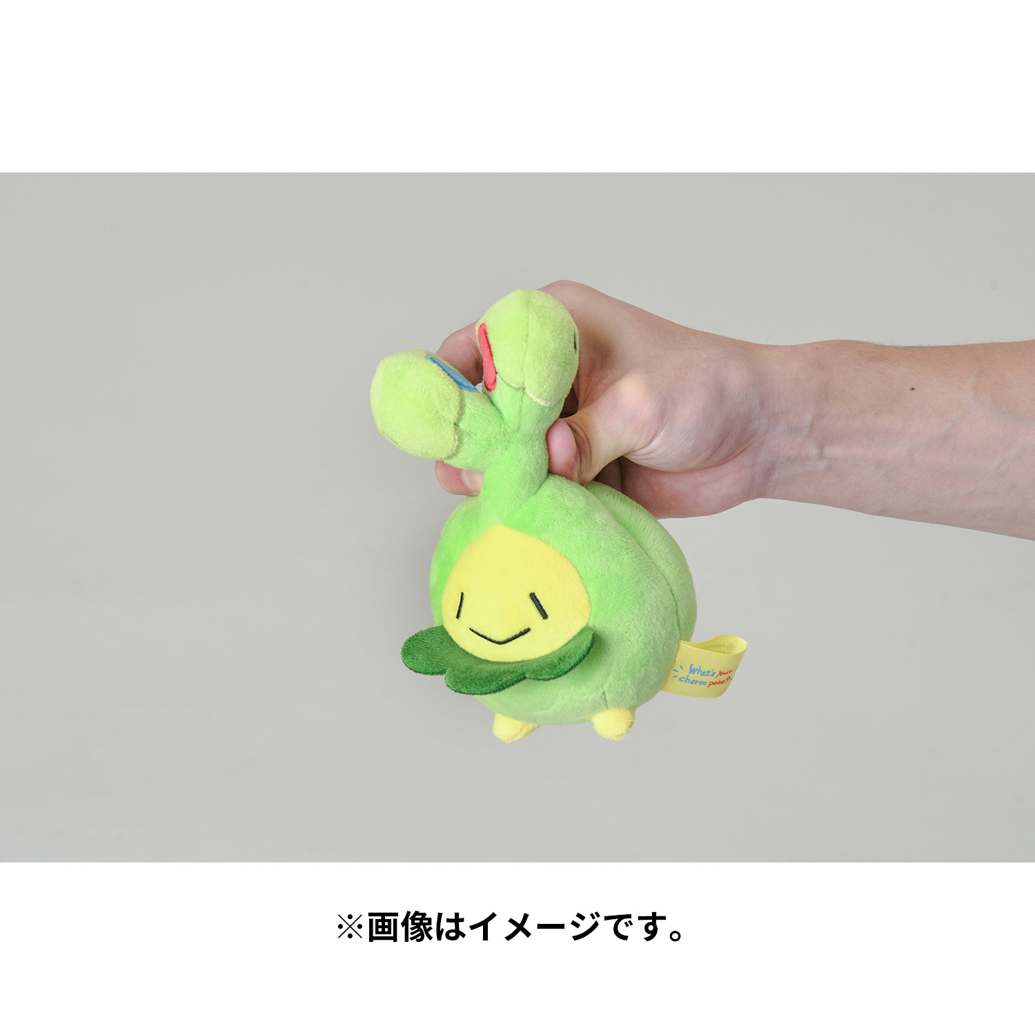 ポケモンセンター　スボミー　ぬいぐるみ　ストラップ クリップマスコット What's your charm point? スボミー