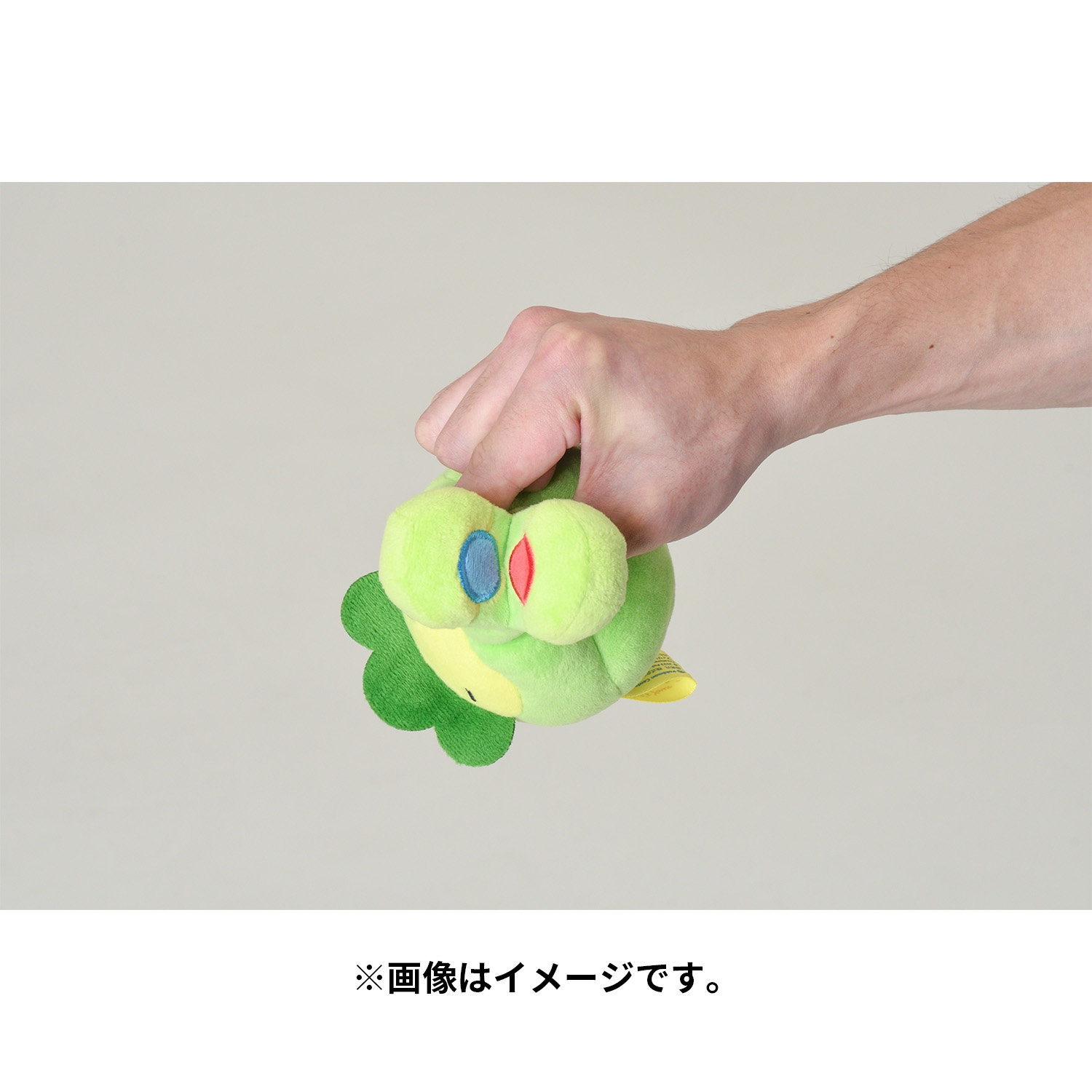 クリップマスコット What's your charm point? スボミー