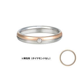 ポケモンセンター リングバインダー 2005年 ポケモンセンター 二つ折りバインダー Pokémon's journey - メルカリ