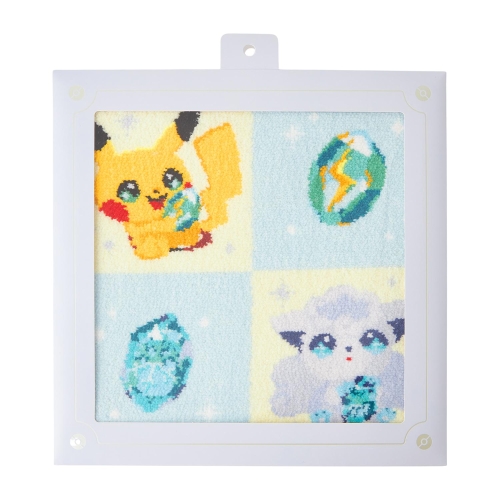 シェニールタオルハンカチ SHINKA NO ISHI