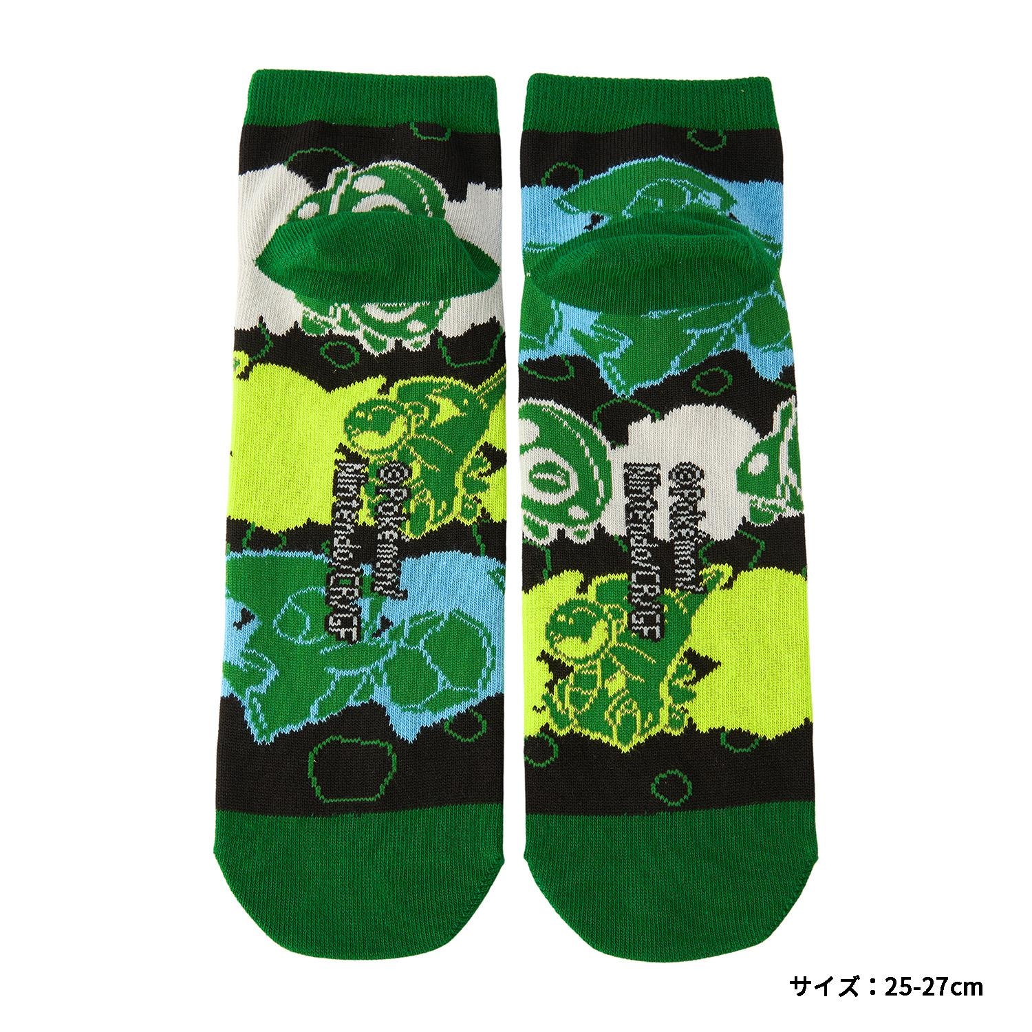 Picabia、FEMME AU SERPENT、海外版超希少レゾネ、新品額付 アガベ「ショー・タイム（Sho-Time）」交配種（オバティフォリア