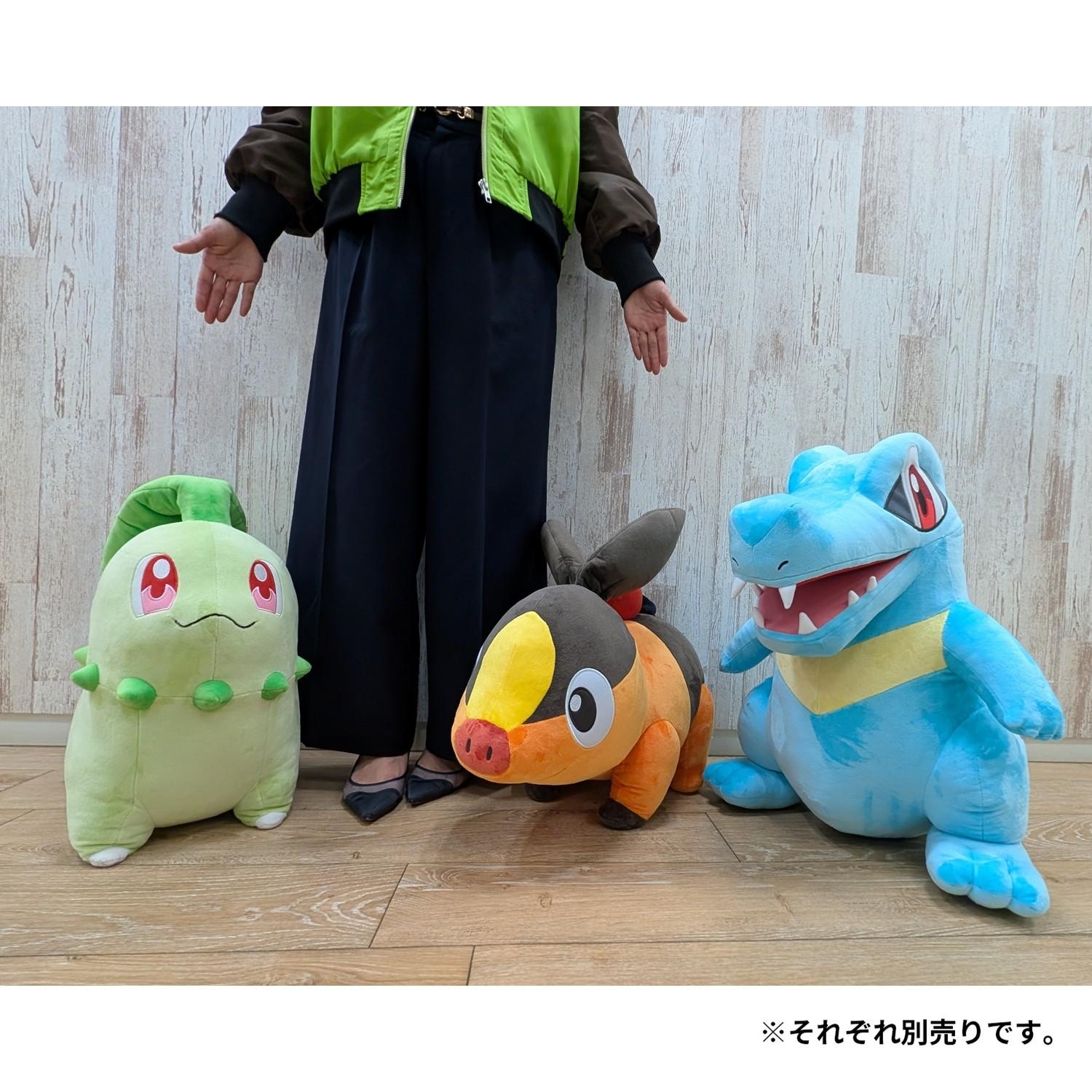 ポケモンセンター 連れ歩きシリーズ ワニノコ ぬいぐるみ ぬいぐるみ 等身大ワニノコ |【公式】ポケモンセンターオンライン