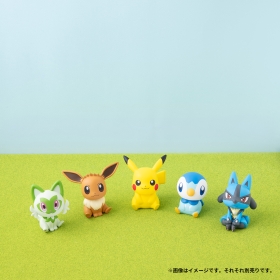 るかっぷ ポッチャマ ｜【公式】ポケモンセンターオンライン