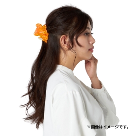 Pokémon accessory ヘアバンス86 パモ