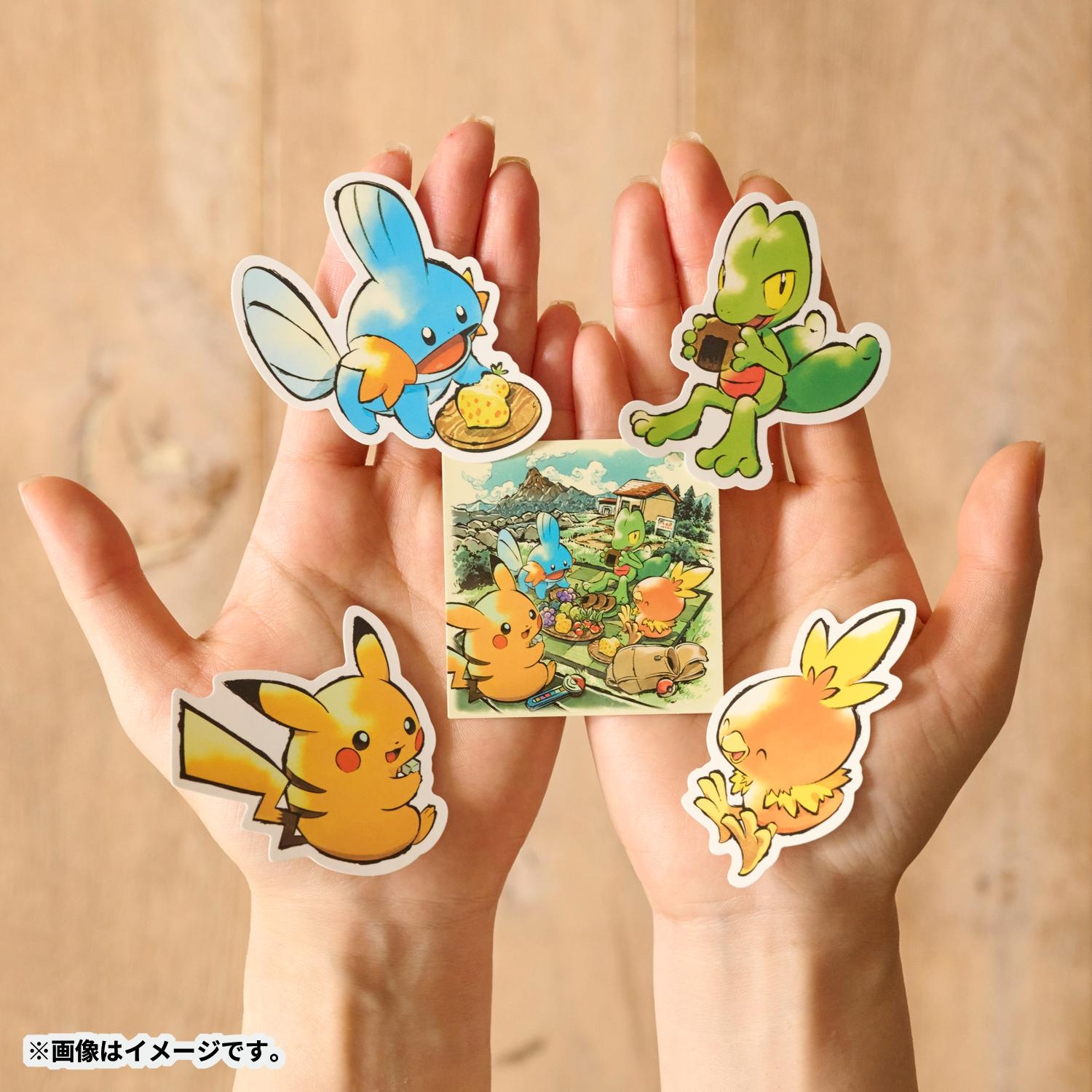 ステッカーセット Pokémon Timeless Adventure ホウエン ｜【公式