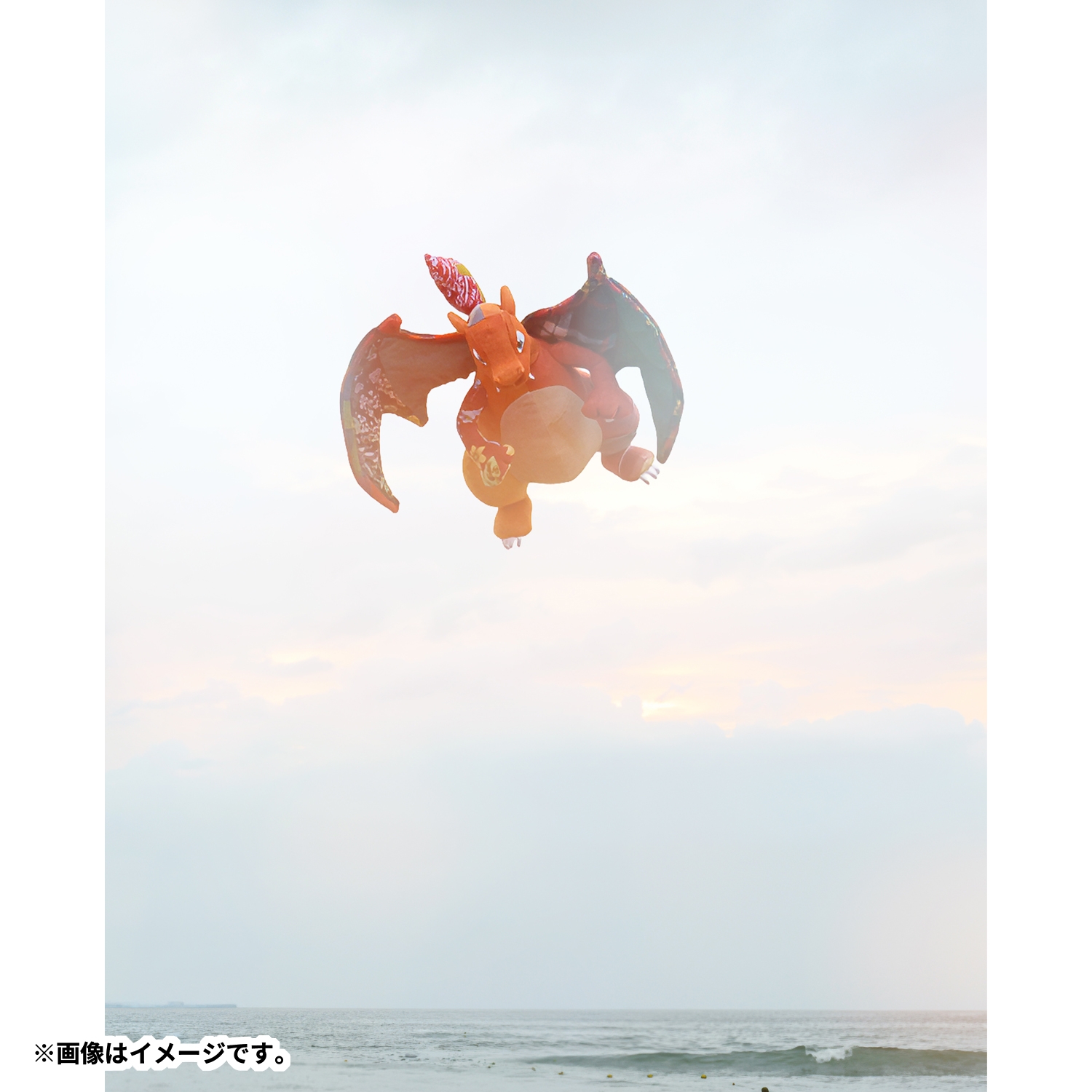 Sean Wotherspoon ✕ Pokémon Center ぬいぐるみ リザードン
