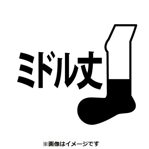 <202602>【選べる】ミドルソックス ワンポイント無地 ピカチュウ BK(23-25cm)