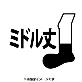 <202602>【選べる】ミドルソックス ワンポイント無地 ピカチュウ BK(23-25cm)