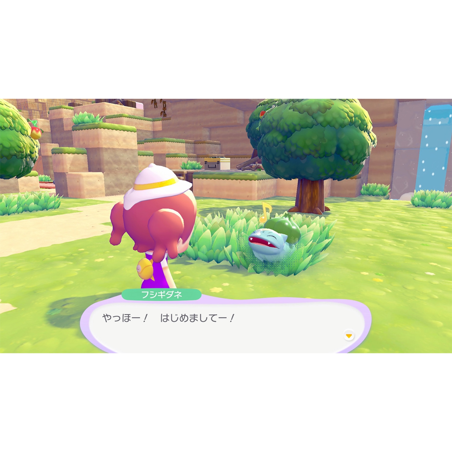 ぽこ あ ポケモン