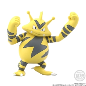 ポケモンスケールワールド　カントー地方　マチス&レアコイル&エレブー