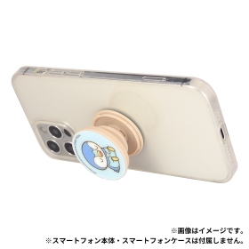 ポケピース　POCOPOCO　ポッチャマ