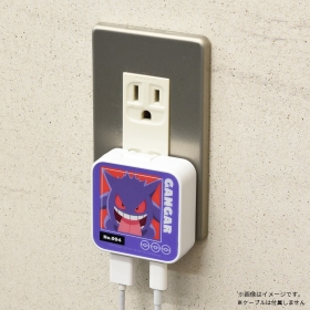 USB/USB Type-C ACアダプタ ゲンガー 815B