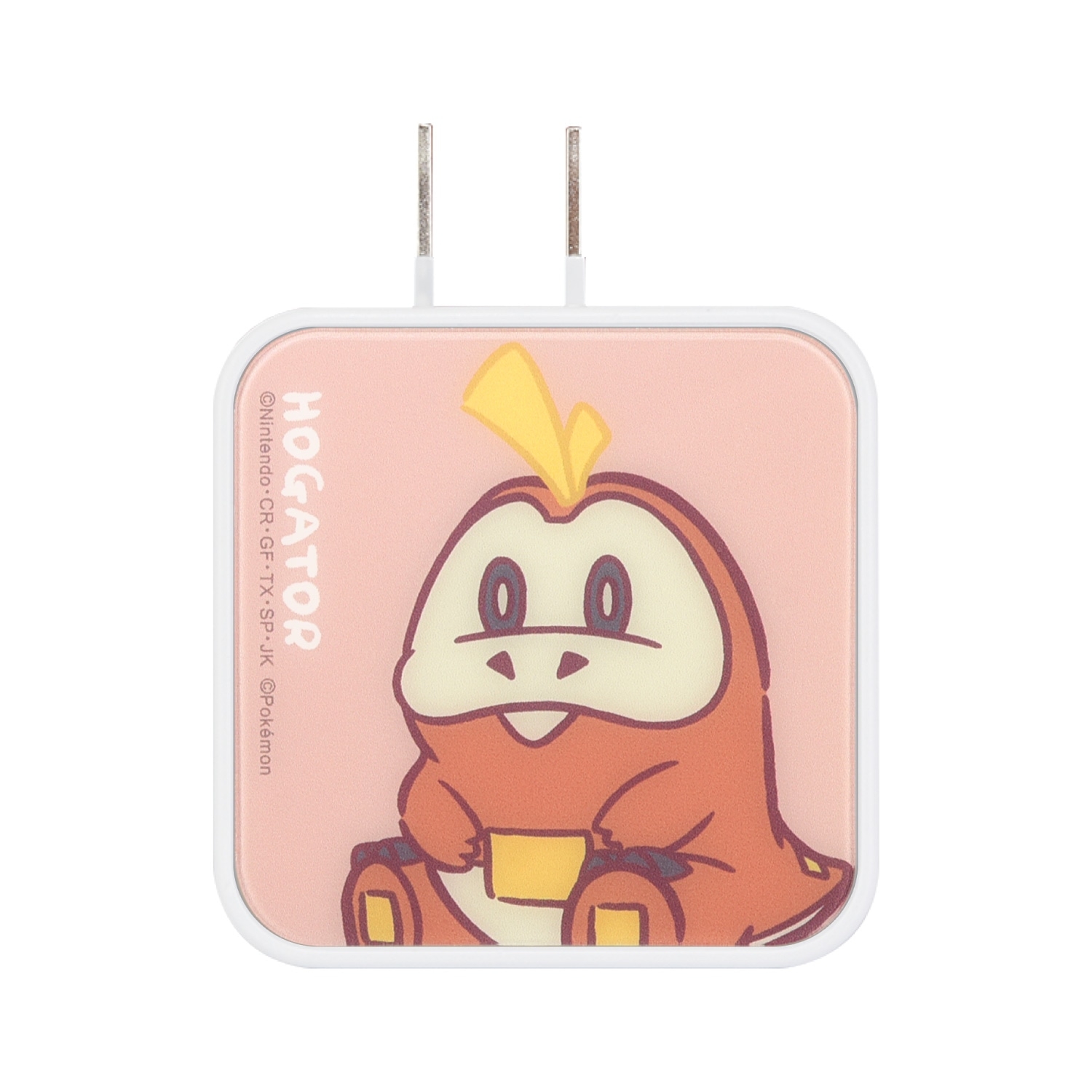 USB/USB Type-C　ACアダプタ　ホゲータ