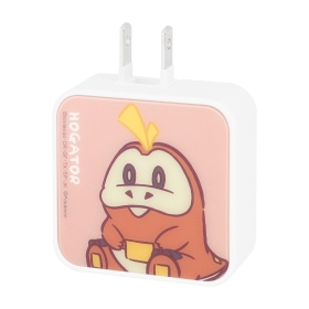 USB/USB Type-C ACアダプタ ホゲータ
