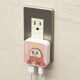 USB/USB Type-C ACアダプタ ホゲータ