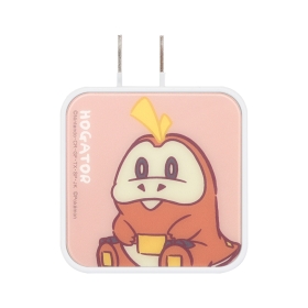 USB/USB Type-C ACアダプタ ホゲータ