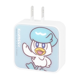 USB/USB Type-C ACアダプタ クワッス