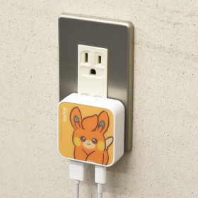 USB/USB Type-C ACアダプタ パモ