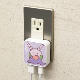 USB/USB Type-C ACアダプタ ヌメラ