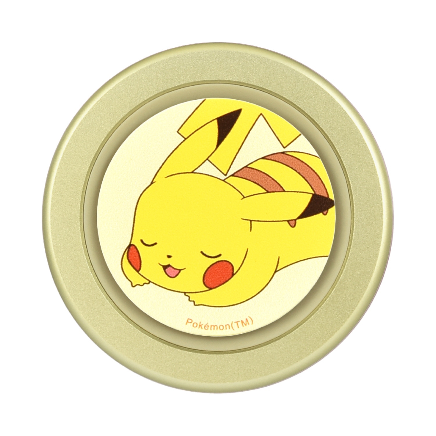 イオン限定 劇場版ポケットモンスター キミにきめた ピカチュウ