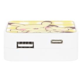 ポケピース USB/USB Type-C ACアダプタ ピカチュウ&ピチュー