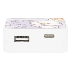 ポケピース USB/USB Type-C ACアダプタ ニャスパー&ヒバニー