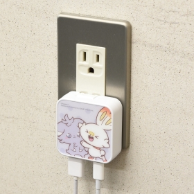 ポケピース USB/USB Type-C ACアダプタ ニャスパー&ヒバニー
