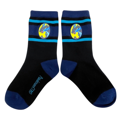 プリントワッペンソックス　メガリザードンX　ジュニア（15～21cm）