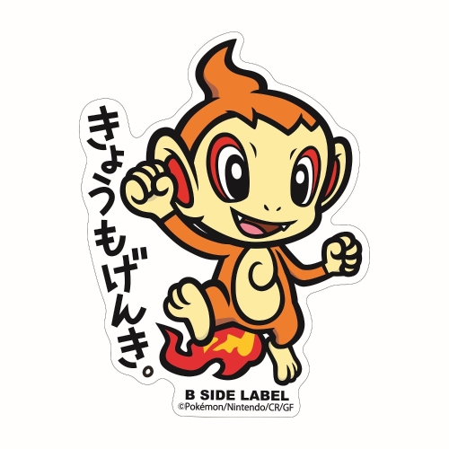 ヒコザルのグッズ一覧｜【公式】ポケモンセンターオンライン