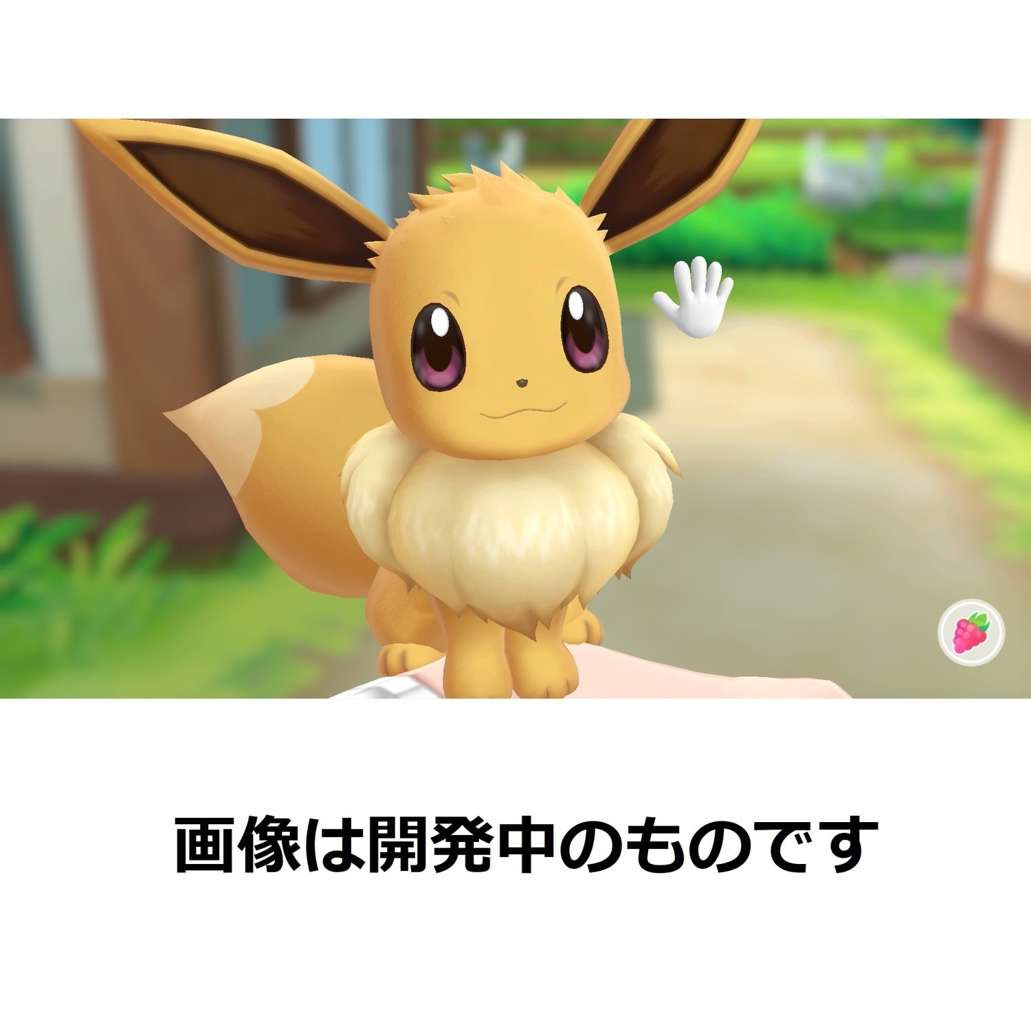 ポケットモンスター Let’s Go! イーブイ