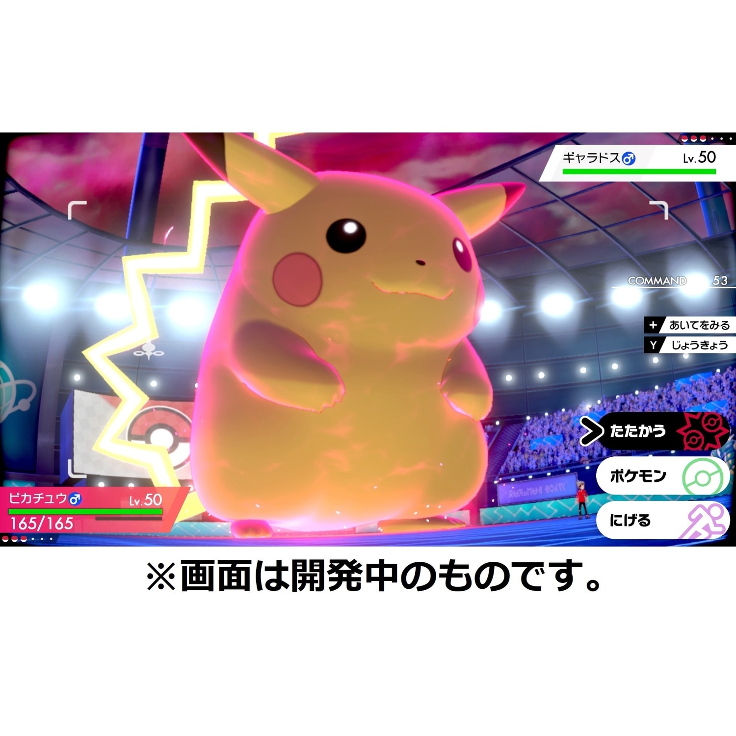 『ポケットモンスター シールド』