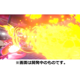 『ポケットモンスター シールド』