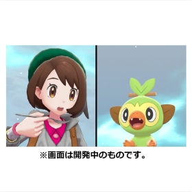 『ポケットモンスター シールド』