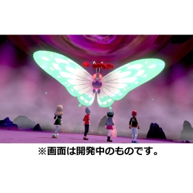『ポケットモンスター シールド』